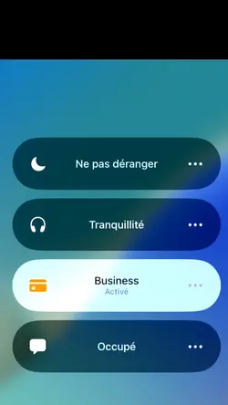 Business Theme