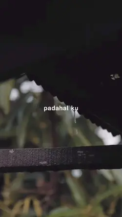 Lagu Viral Tiktok 