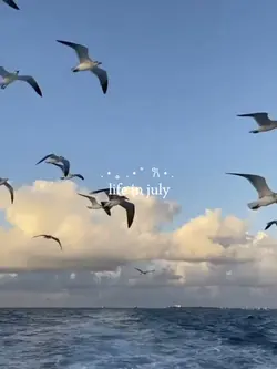 life in july