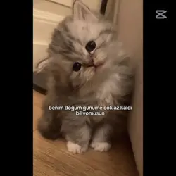 Maşa doğum günü 