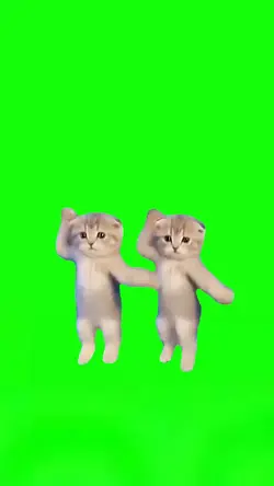 Kittens Dancing 