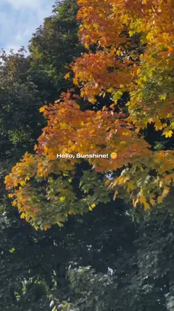 country: sunshine