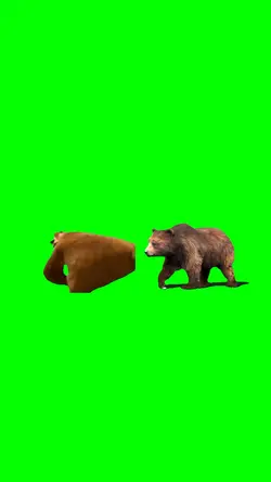 Funny bears meme