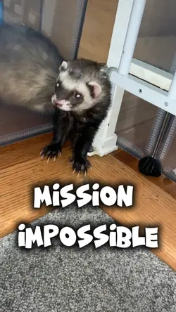 Another mission