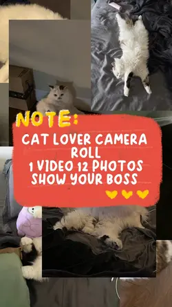 Cat Lovers Camera