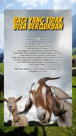 Juni 2024 Qurban