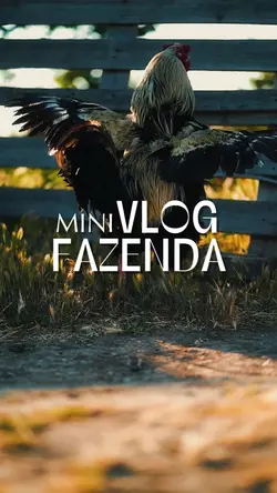 Fazenda•Roça 