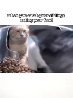 my food