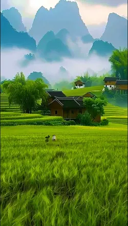 Nature vlog 