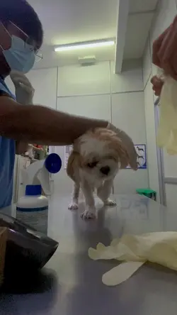 Vet clinic