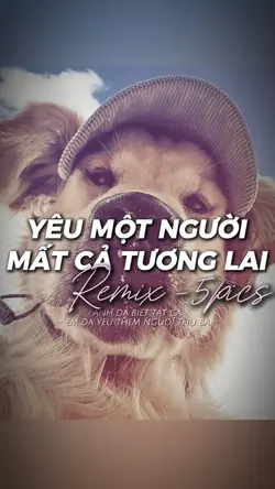 MẪU BEAT CUỐN 5 ẢNH
