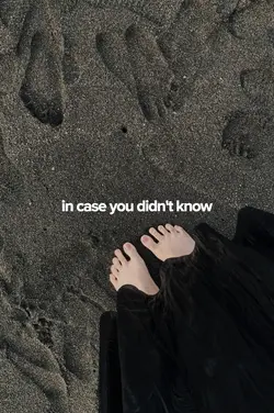 in case you didn't 