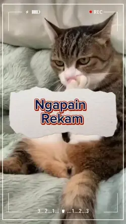 jangan direkam