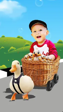 DUCKS ON THE ROAD