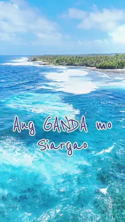 End of Beginning DJO
