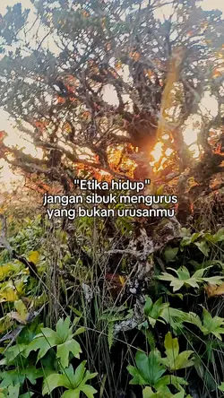 kata kata kane 