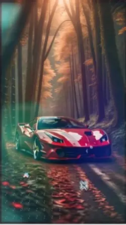 Disco