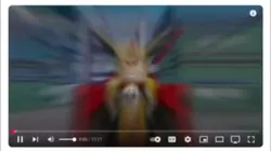 Angry Birds Intro