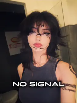 NO SIGNAL