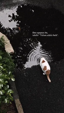 story kata