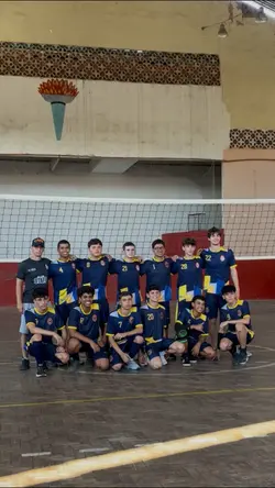 Voleibol