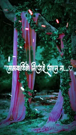মোমবাতিটা নিজেই জানে