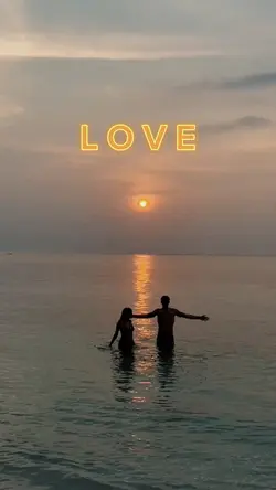LOVE Birds