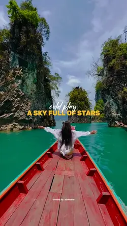 A Sky Full Of Stars