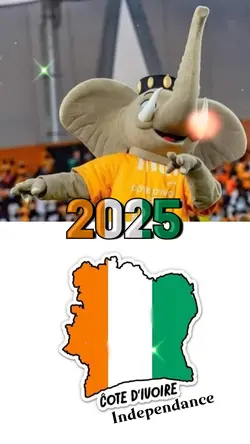 Viva la ivorian 