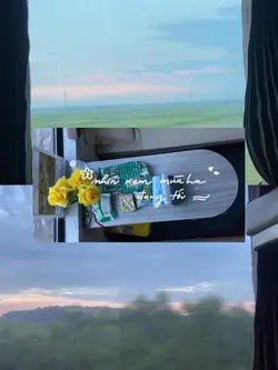 Mùa hạ đang tới 🍀