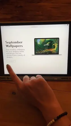 Monthly reset 