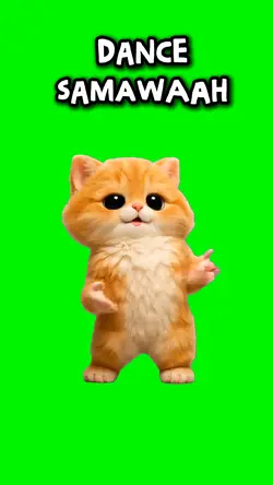 Dance Samawaah