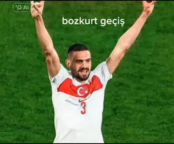 Bozkurt geçiş yapay