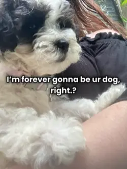 🤍🎀