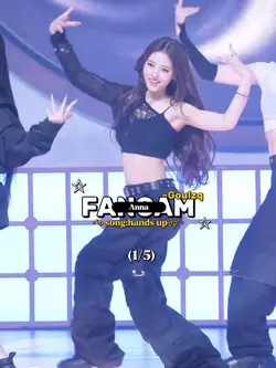 FANCAM