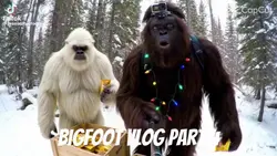 Yeti & Bigfoot