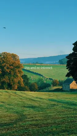 this and no internet