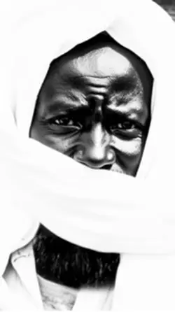 Magal vid 24