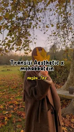 tranisisi Aesthetic