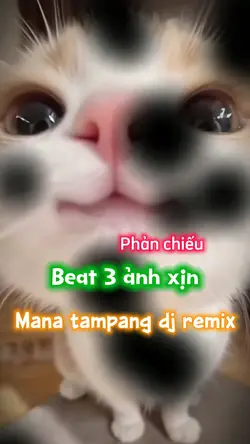 Mana tampang 