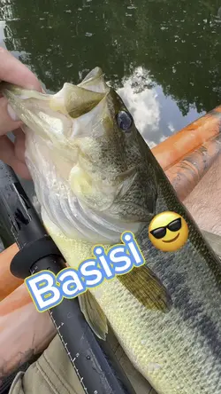 Got a basisi