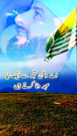 Kashmir 