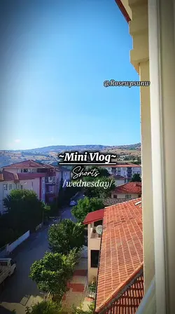 ~Mini Vlog~
