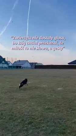 Piękny cytat...