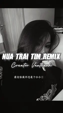 NỮA TRÁI TIM REMIX