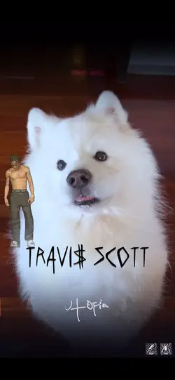 FE!N TRAVIS SCOTT