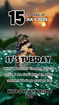 it's Tuesday,July 15