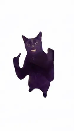 CAT CLAPPING MEME