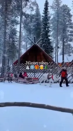 Winter vibes 