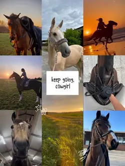 keep going 🐴